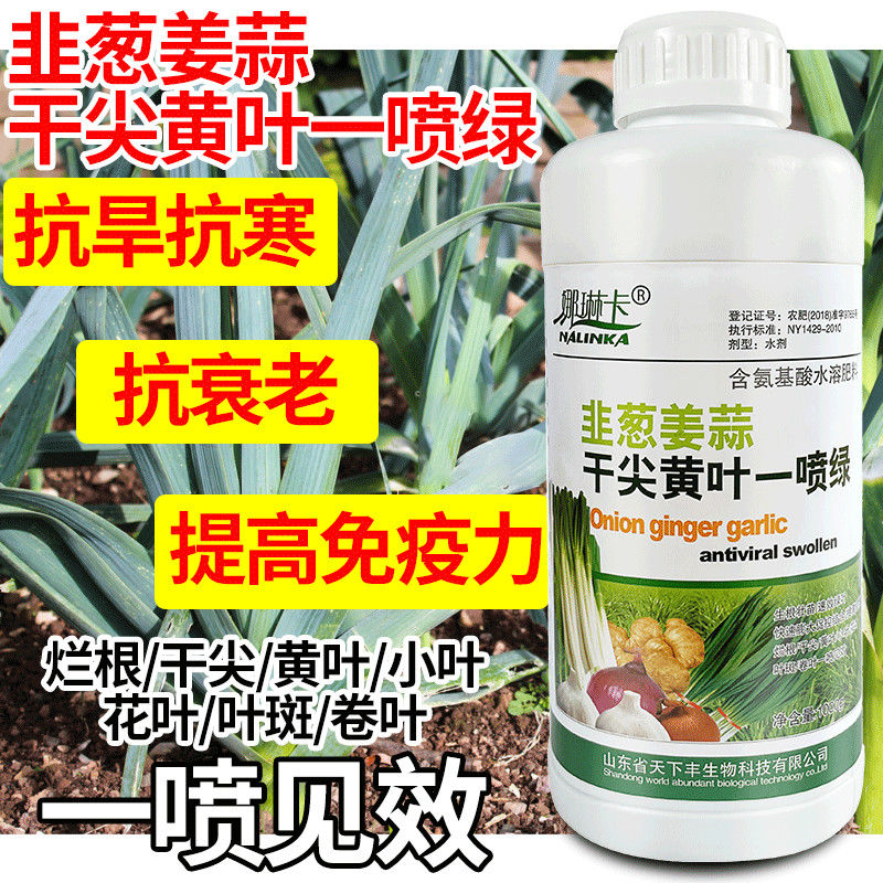 韭葱姜蒜干尖黄叶一喷绿生根壮苗膨大葱大蒜生姜专用氨基酸叶面肥