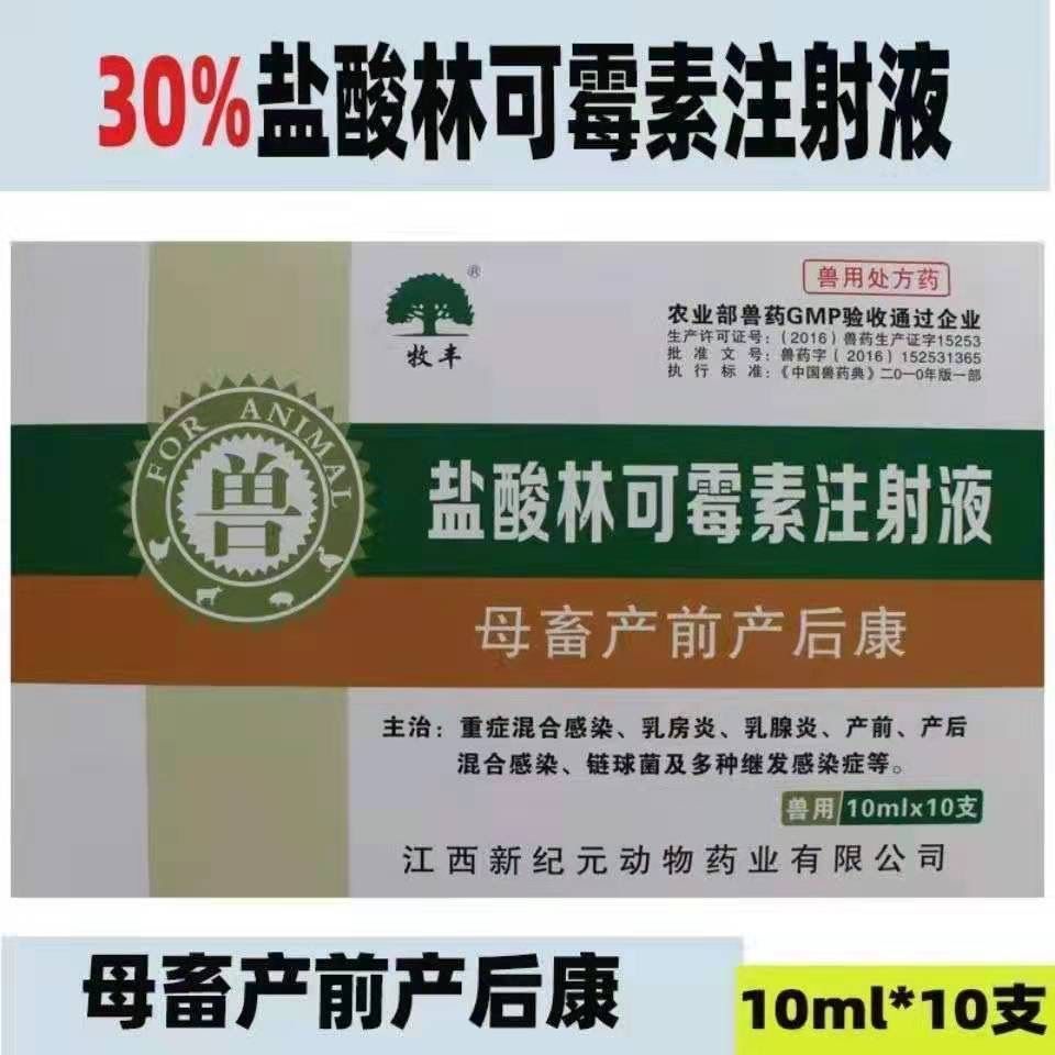 兽用兽药盐酸林可霉素注射液母畜产前产后康抗菌消炎乳房炎乳腺炎