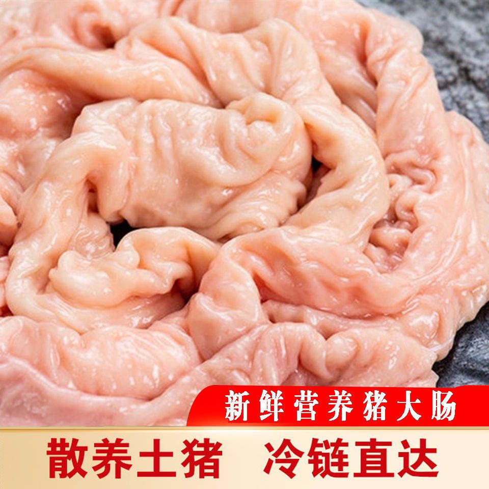 新鲜猪大肠肥肠冷冻猪肠头猪肠子猪生肠生大肠大肠头半熟大肠-新