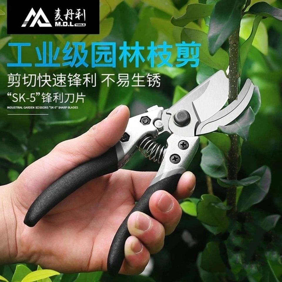 德国麦丹利园林剪刀工业级sk5钢修枝剪园艺花卉剪果树剪园艺工具