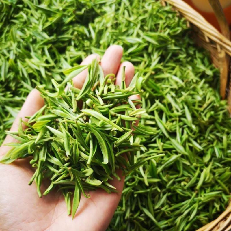 岳西翠兰茶绿茶2021新茶特级国宾礼茶安庆安微翠兰茶明前茶叶500g