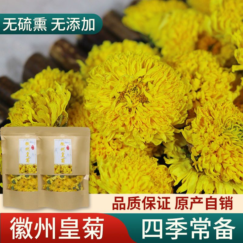 黄山徽州皇菊菊花茶大朵安徽省产热饮四季必备清热