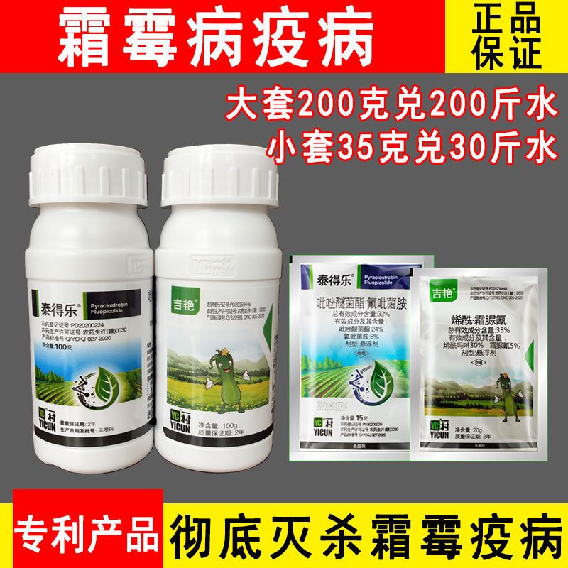 霜霉病疫病特效药专用杀菌剂氟吡菌胺烯酰吗啉霜脲氰蔬菜水果绿植