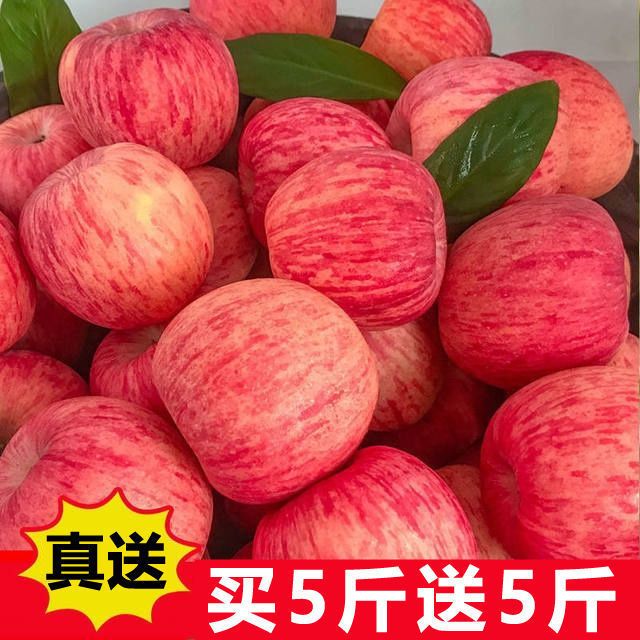 【秒杀价】苹果水果新鲜应季冰糖心当季丑红平果批发一整箱10斤关注立