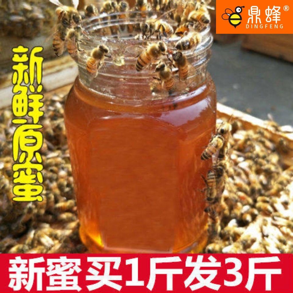 蜂蜜天然正品纯野生深山百花蜜农家自产自销成熟封盖鼎蜂土蜂蜜 虎窝拼