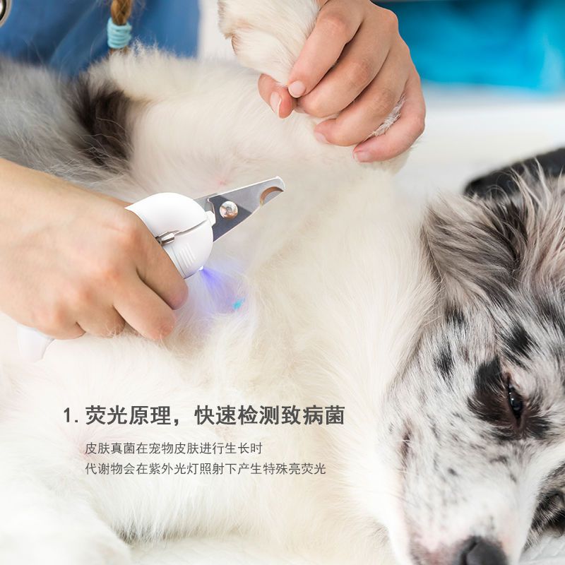 Cat nail scissors LED light blood line dog nail clippers with light pet special nail clipper artifact cat paw scissors