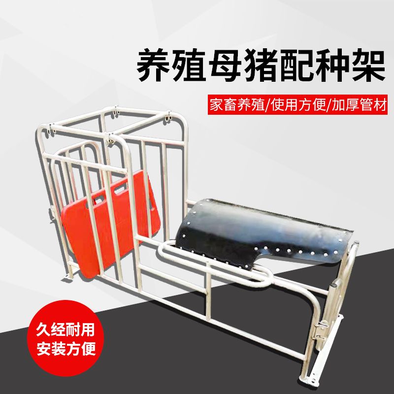 种猪小母猪架配种架采精支架公猪用配种栏受精配种器配猪架子设备