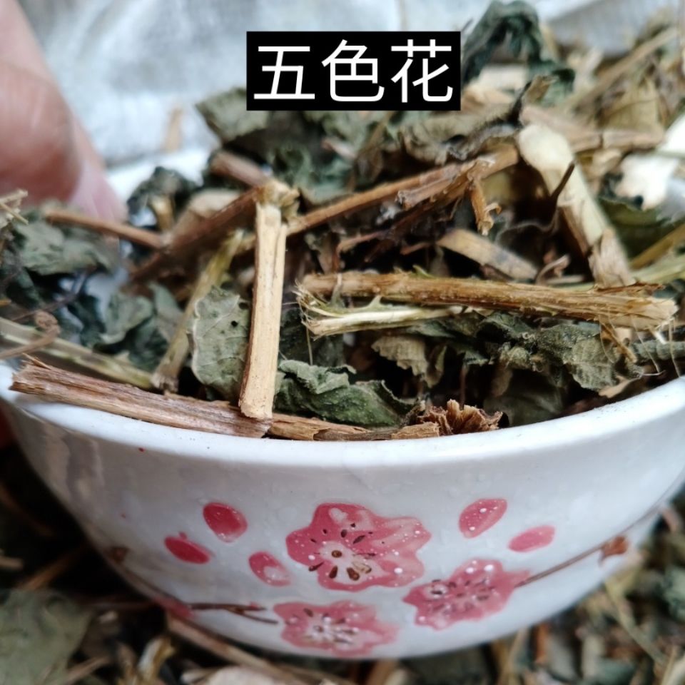 农产品野生五色花马缨丹红彩花干品精选包邮购1500克送250克
