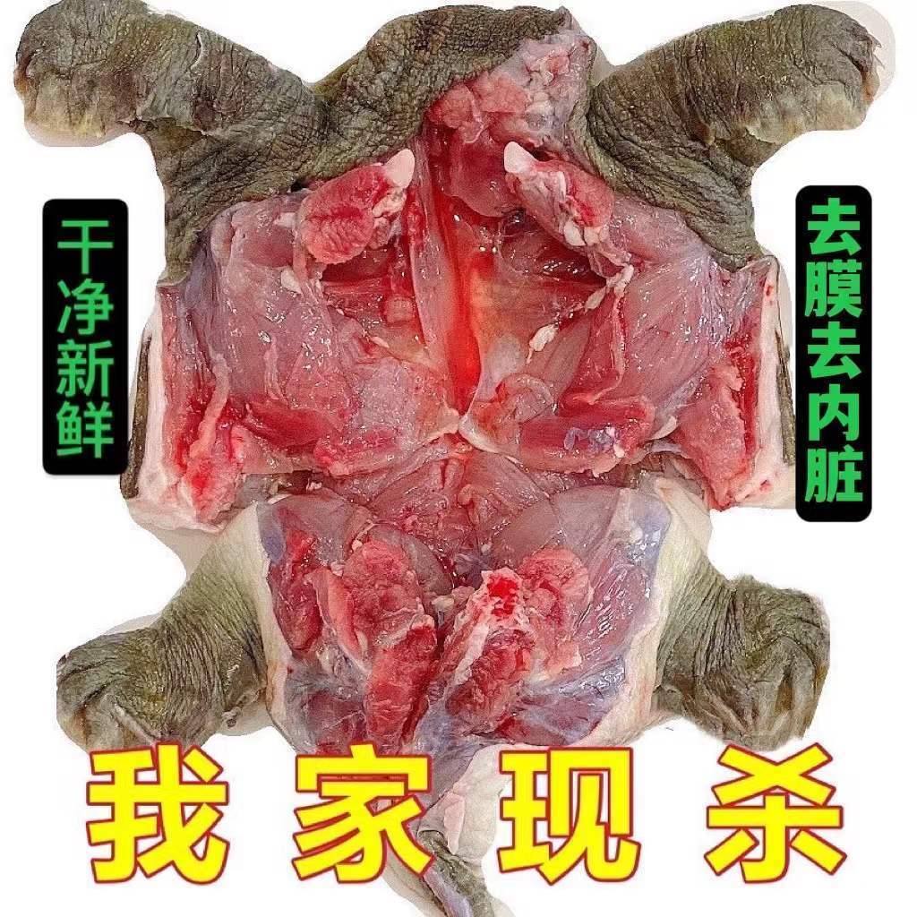 滋补甲鱼现杀老鳖食用水鱼王八真空包装新鲜去皮去膜去内脏批发