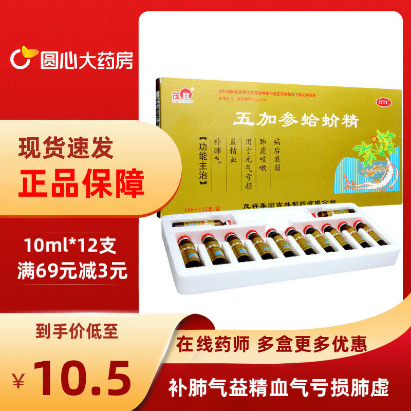 茂祥五加参蛤蚧精10ml*12支 补肺气益精血气亏损肺虚 新包装