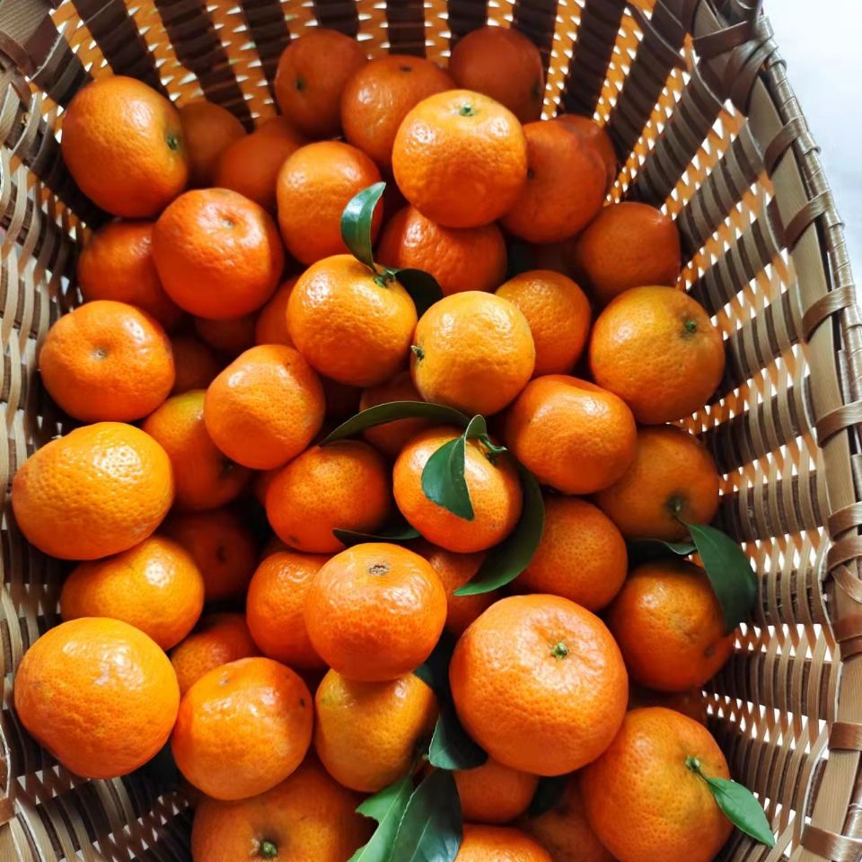 薄壳巴旦木奶油味纸皮250g袋装新疆特产手剥带壳特级烘培干果