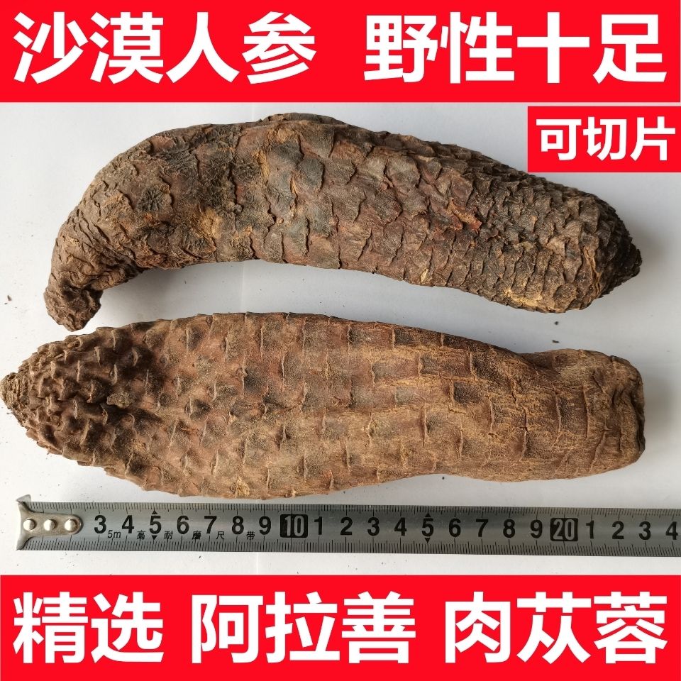 【精选】肉苁蓉整根500g250g阿拉善肉苁蓉中药材男性滋补泡酒泡茶