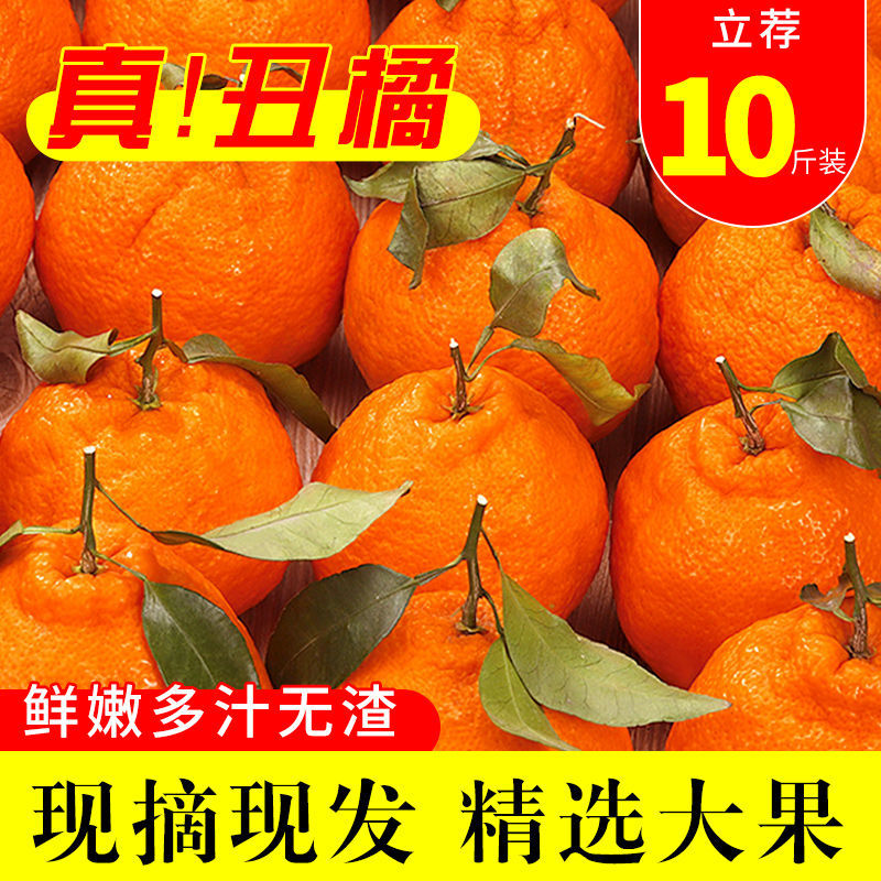 【森优果】四川丑橘不知火橘子新鲜水果丑桔子手剥现摘整箱批发