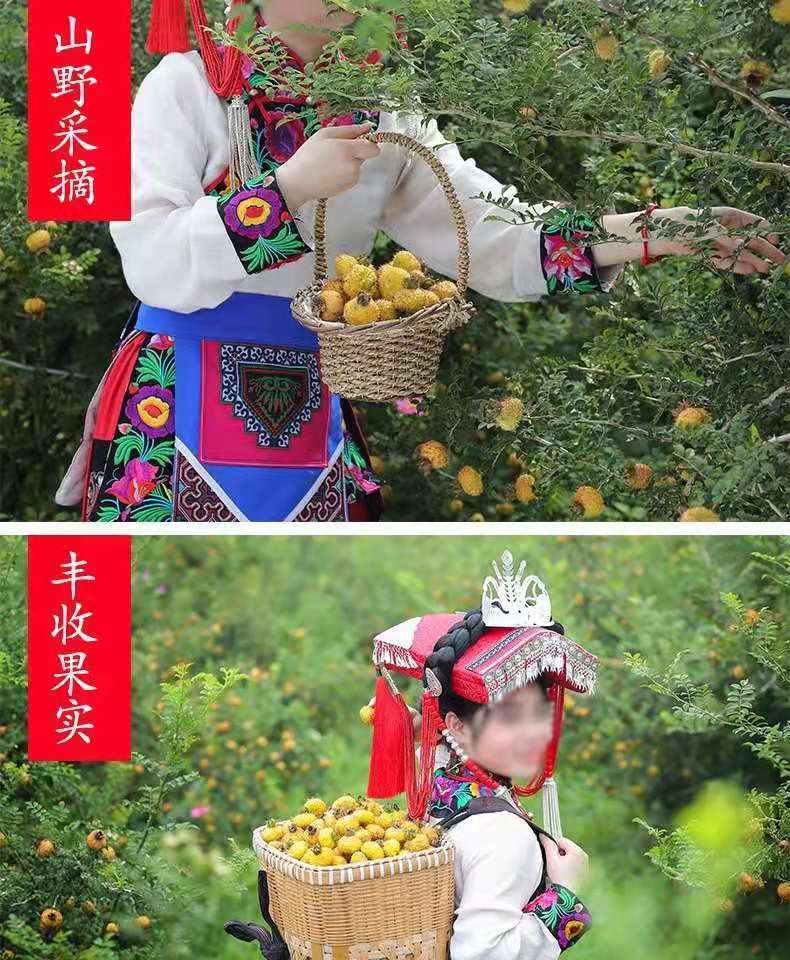 春之言  贵州特产水果干刺梨干果脯蜜饯刺梨果干果蔬干健康酸甜果肉零食