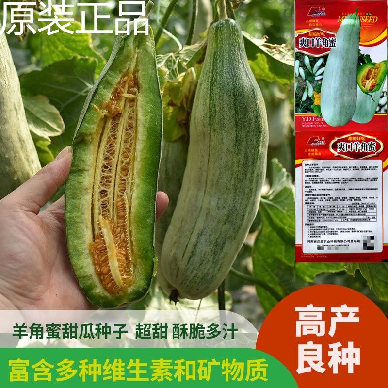 正品羊角蜜瓜酥甜瓜种子种籽蔬菜孑秧脆高产香瓜家庭四季大全种子