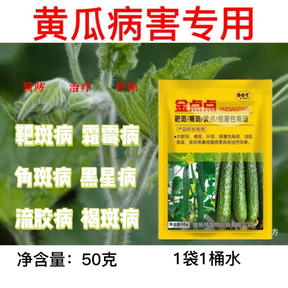 黄瓜靶斑病黄点病霜霉病黑星病炭疽病角斑病流胶病黄瓜病害专用