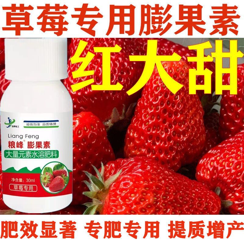 草莓膨果药草莓膨果肥草莓膨大剂草莓膨大素草莓膨大增甜专用药