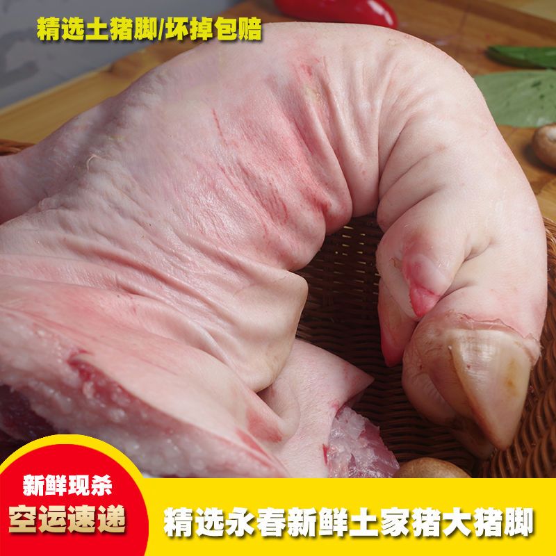 新鲜现杀猪前脚整个猪前蹄带筋农家黑土猪前脚猪肘子