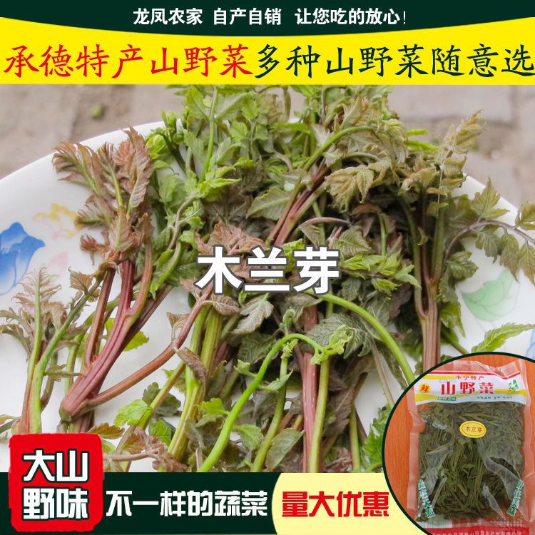 300g承德木莉芽 野生山野菜木立芽 木兰芽 木里芽 蔬菜嫩野味包邮