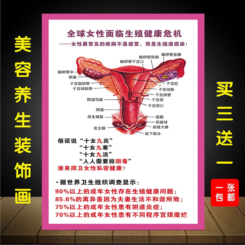 包邮女性生殖器解剖图医院宣传挂图妇科海报子宫宫颈疾病示意图