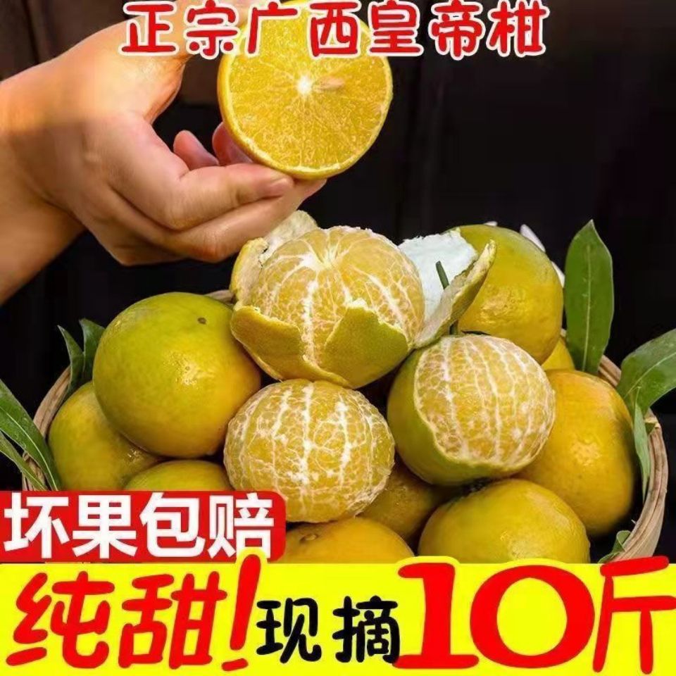 【纯甜多汁】正宗广西武鸣皇帝柑新鲜水果贡柑橘子黄帝柑大果薄皮