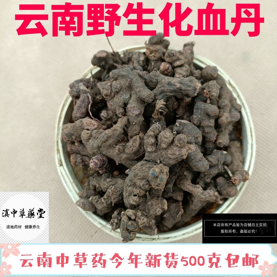 化血丹云南高原野生药材血当归花蝴蝶 独叶草根 正品不熏硫一手货