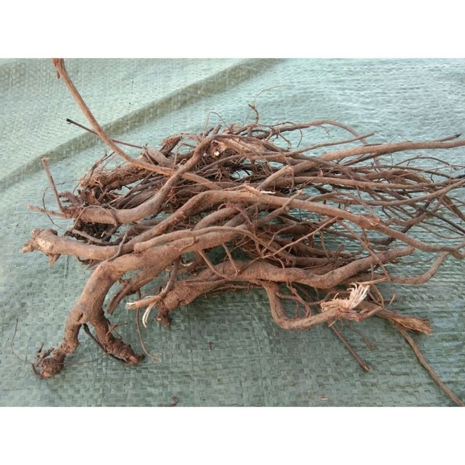 野生千斤拔红皮白心包邮贵州新鲜千金拔一条根老鼠尾吊马桩金牛尾