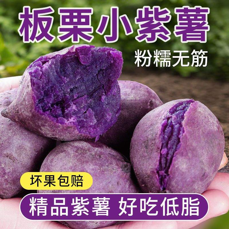 正宗板栗小紫薯越南新鲜珍珠小个地瓜低脂代餐粉糯甜农家自种番薯