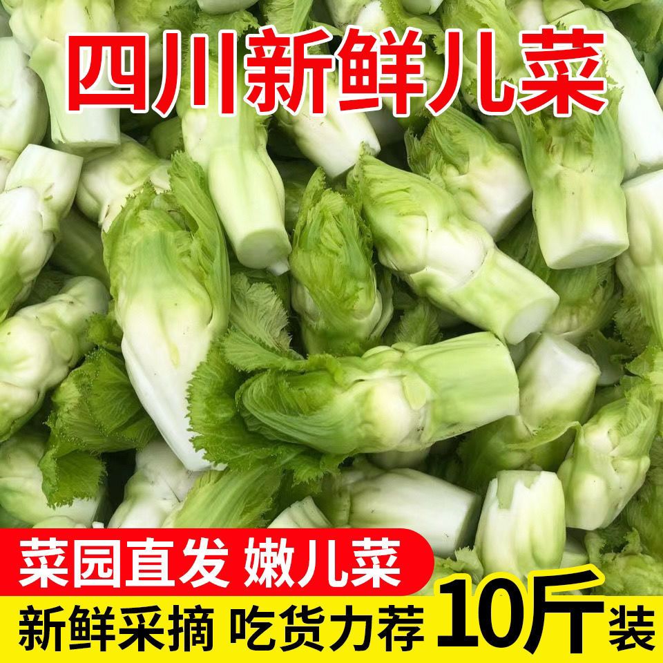 四川新鲜儿菜新鲜蔬菜10斤娃娃菜抱母菜南充菜农家自种特价1斤