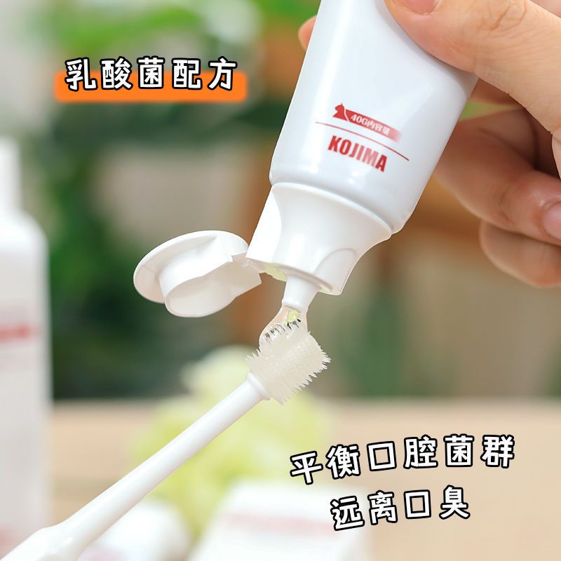 日本KOJIMA猫咪牙刷牙膏套装可食用减轻口臭刷牙宠物牙齿清洁用品