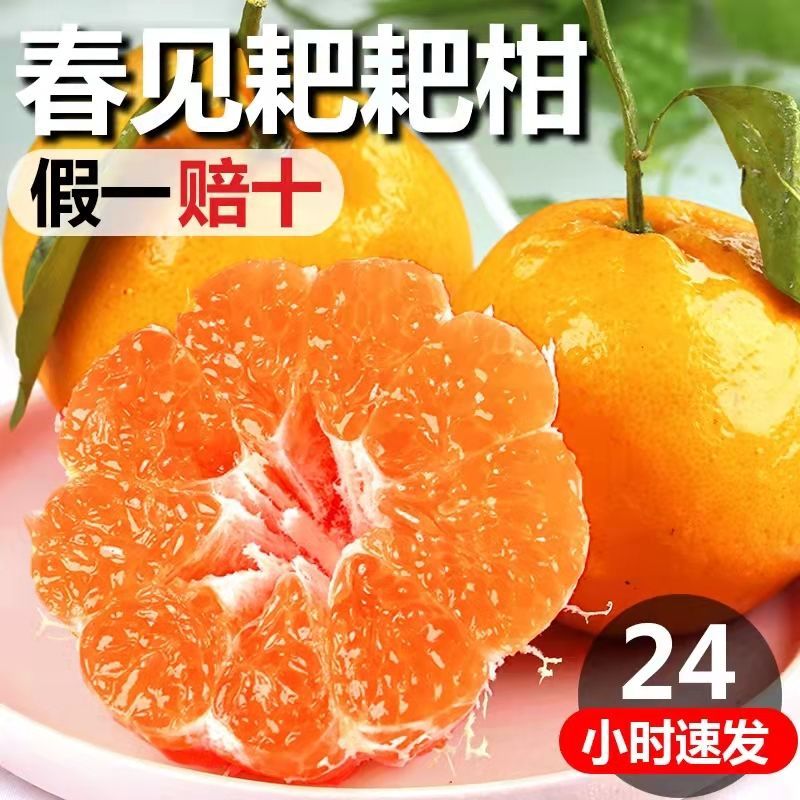 正宗春见耙耙柑新鲜耙耙柑生态农业包邮粑粑柑正宗整箱爆浆当季