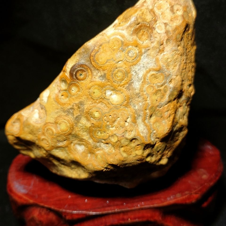 九眼石页岩钱币石原石尺寸摆件11*8cm厚度7.1cm