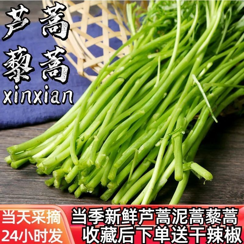 湖北当季现割黎蒿新鲜蔬菜泥蒿芦蒿带嫩叶去根鲜嫩农家自种菜篱蒿