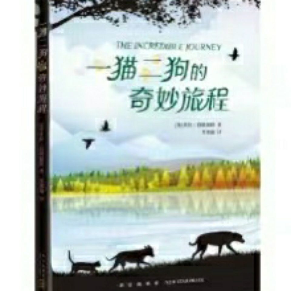 125754-爷爷的老房子天空的那头一猫二狗奇妙旅程机器女孩了不起大盗全套-详情图