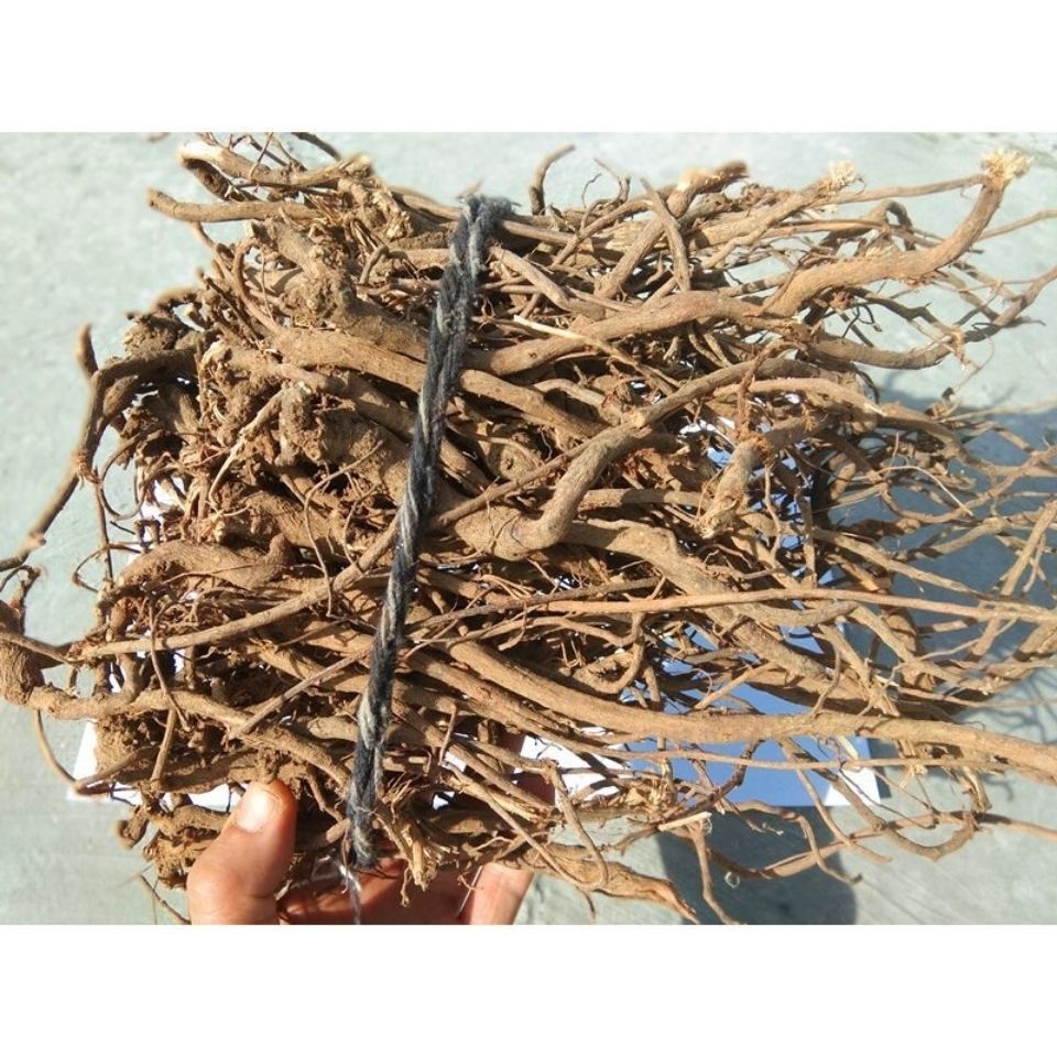 野生千斤拔红皮白心贵州新鲜晒干千金拔一条根老鼠尾吊马桩金牛尾