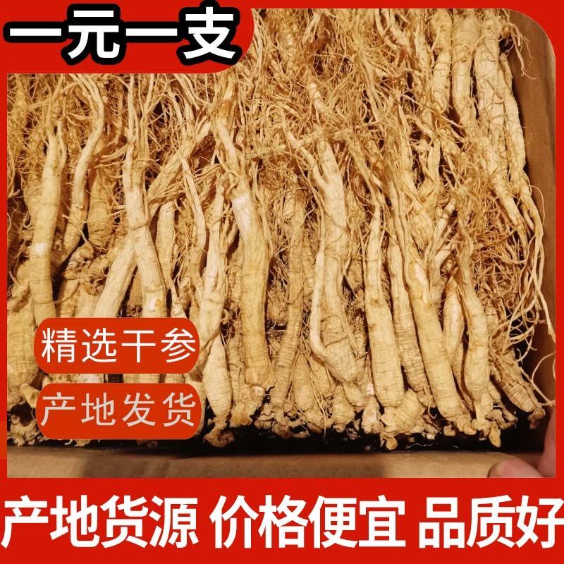 【长白神】干人参火锅参园参长白山干人参老山参泡酒药材批发