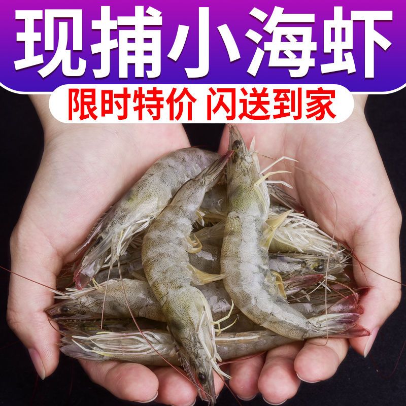 【活动价】新鲜海虾青岛野生小青虾国产小海虾野生虾直销批发价