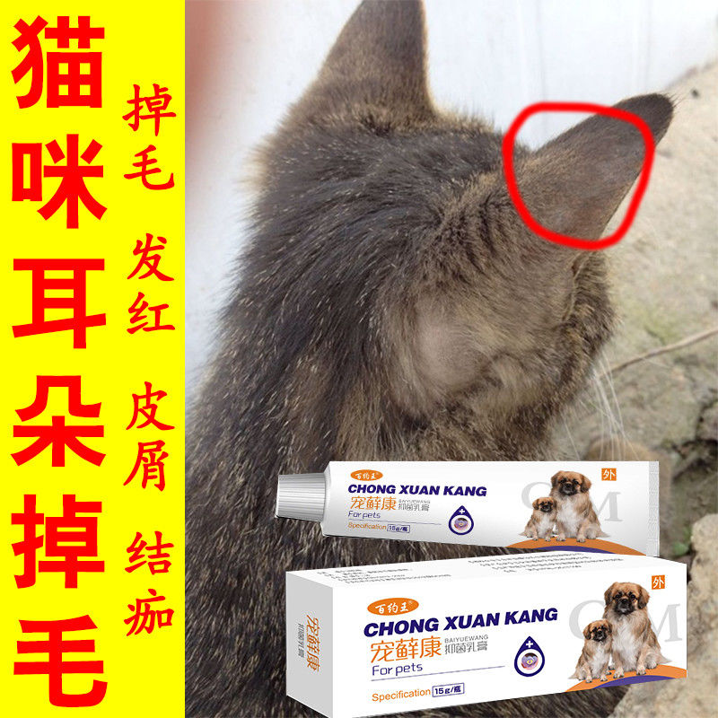 猫藓药膏猫耳朵掉毛发红真菌感染皮炎湿疹瘙痒皮屑结痂外用止痒膏