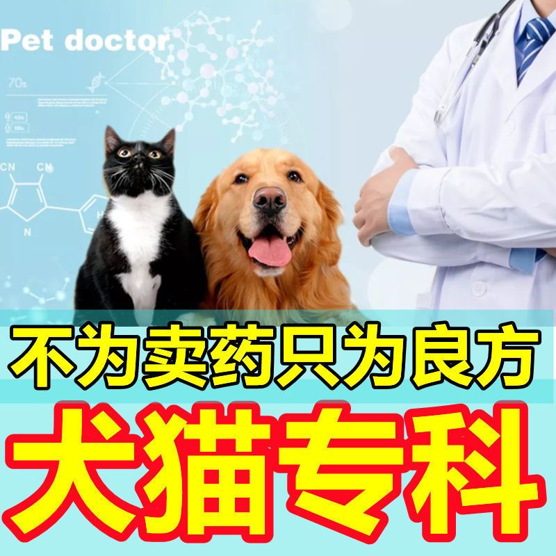 宠物医院兽医在线咨询犬猫宠物医生猫咪诊所狗狗专业问诊兽医在线