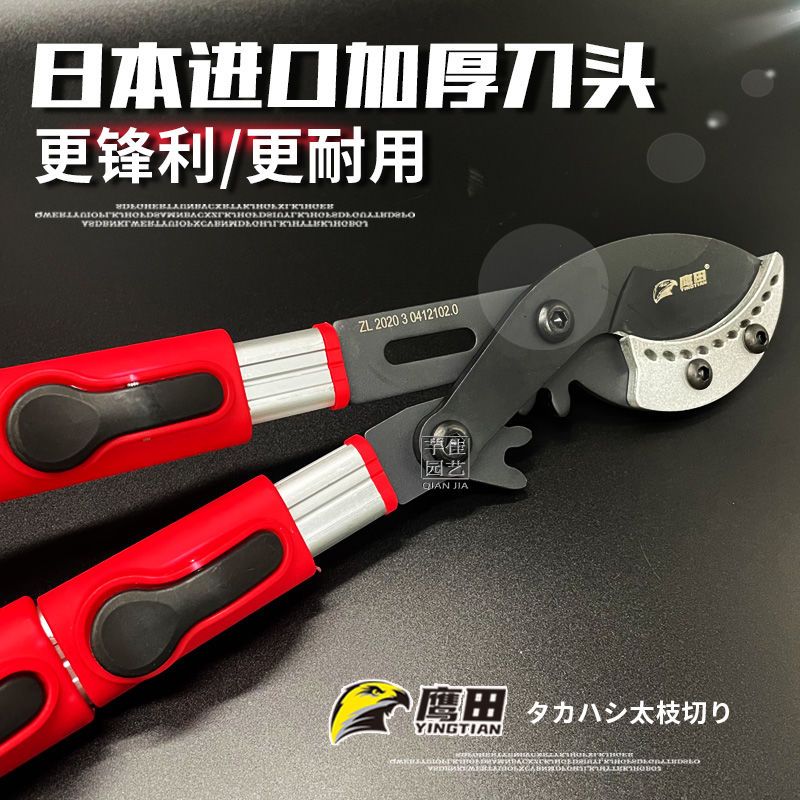 [拼团中]日本原装进口粗枝剪黑狐狸树枝高枝 -鲜花速递/花卉仿真/绿植园艺-好货如云-轻舟网