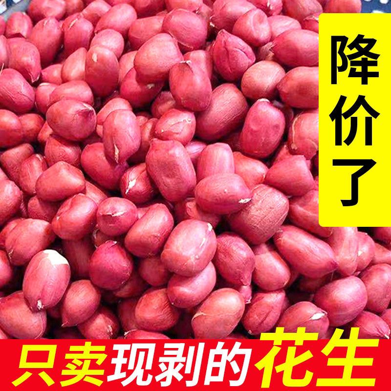 红皮花生米新货特价新鲜四粒红生花生米批发养胃生花生米