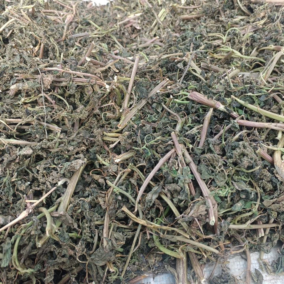 野生正品中草药材刺苋菜根野刺苋假苋菜猪母刺白刺苋干货500包邮