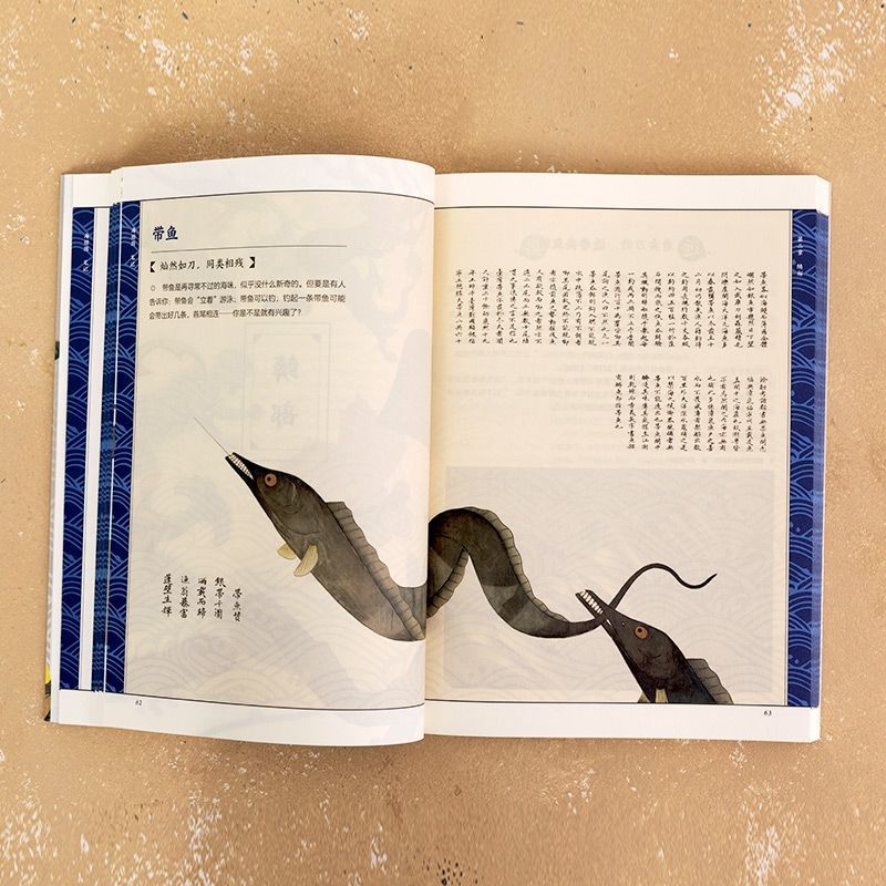 正品海错图笔记(青少版)张辰亮著探究海洋生物世界笔记科普读物-图4