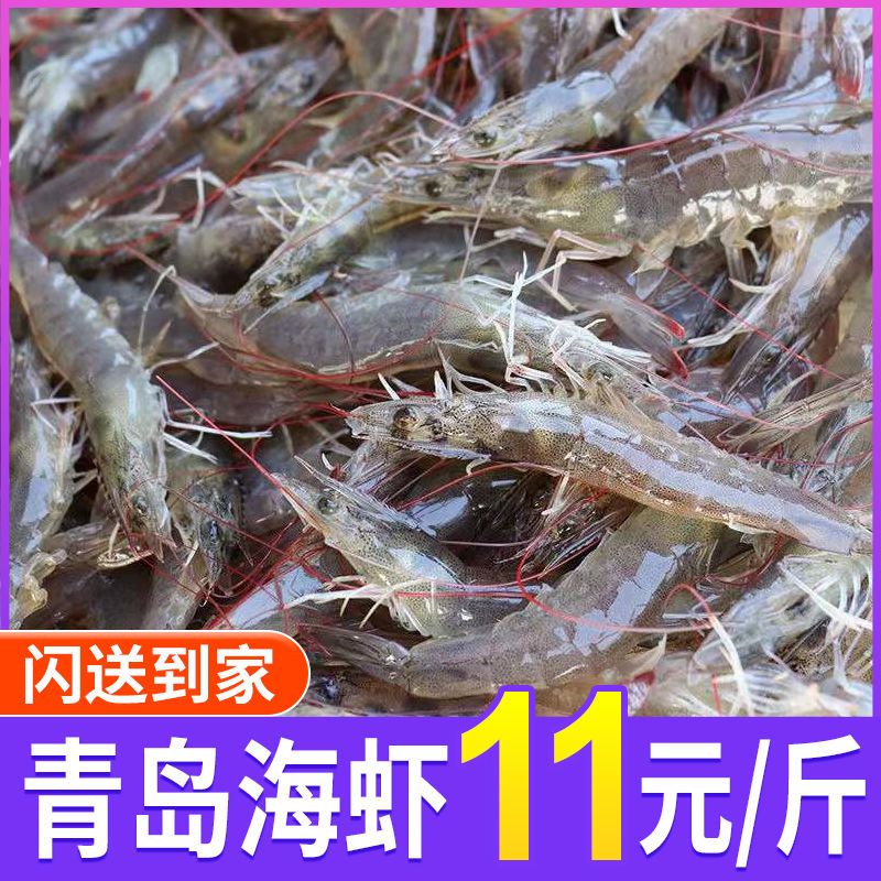 【现捕】新鲜青岛小海虾野生青虾国产虾活虾冷冻冰鲜批发价整箱