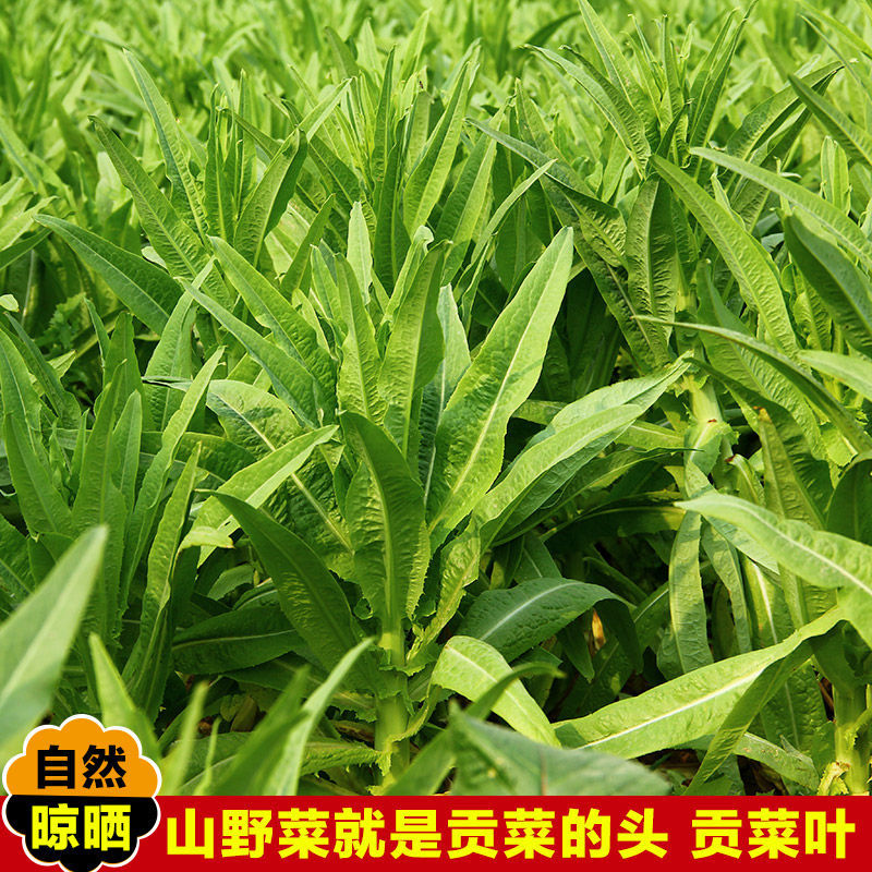 500g包邮贡菜叶子苔干头山野菜农家干货土特产脱水蔬菜响菜苔菜叶