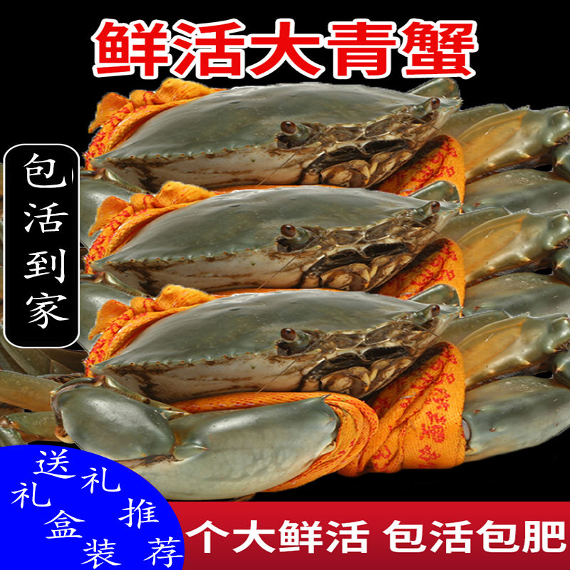 【不含绳重】螃蟹批发鲜活三门青蟹猷蠓整箱礼盒装红膏蟹肉蟹母蟹