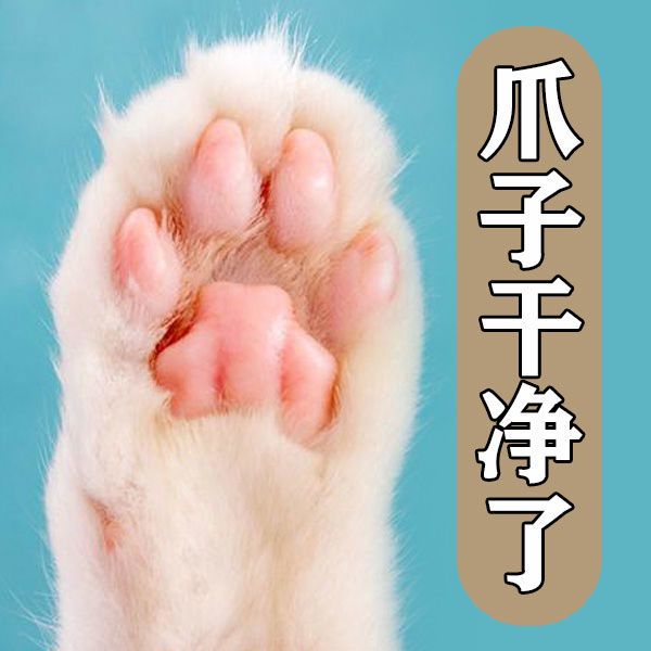 宠物洁足泡沫免洗狗狗洗脚神器猫擦爪子脚掌清洁用品足部干裂护理