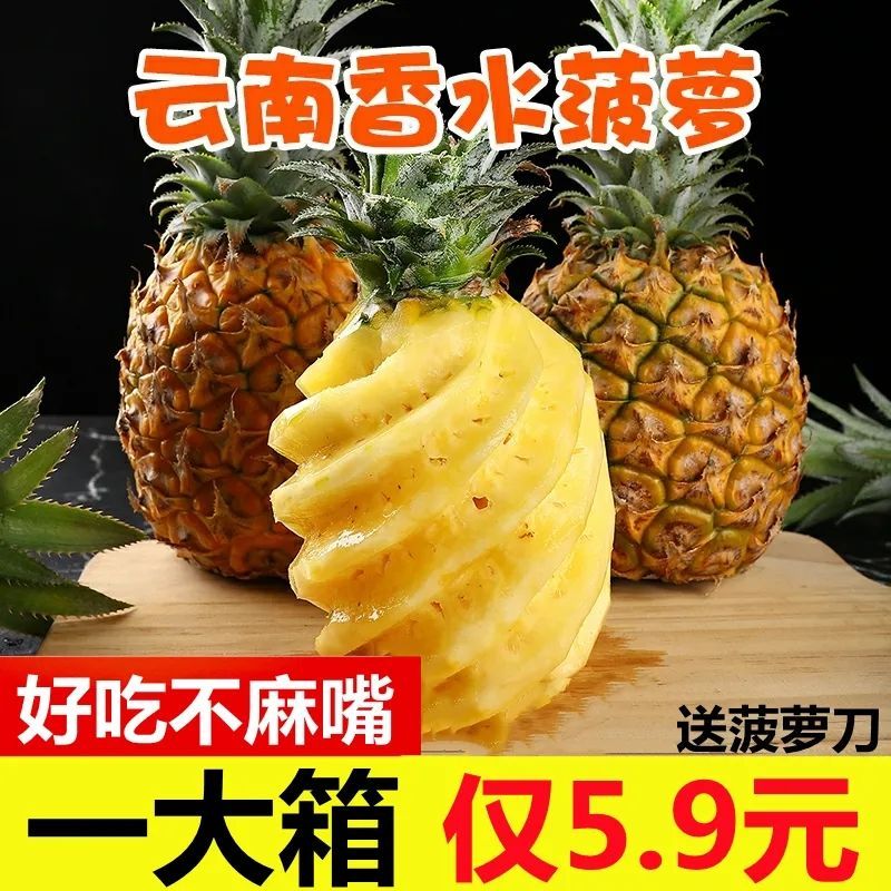 云南蜜香菠萝9斤/5斤装热带水果新鲜水果凤梨青皮菠萝酸甜3斤2斤
