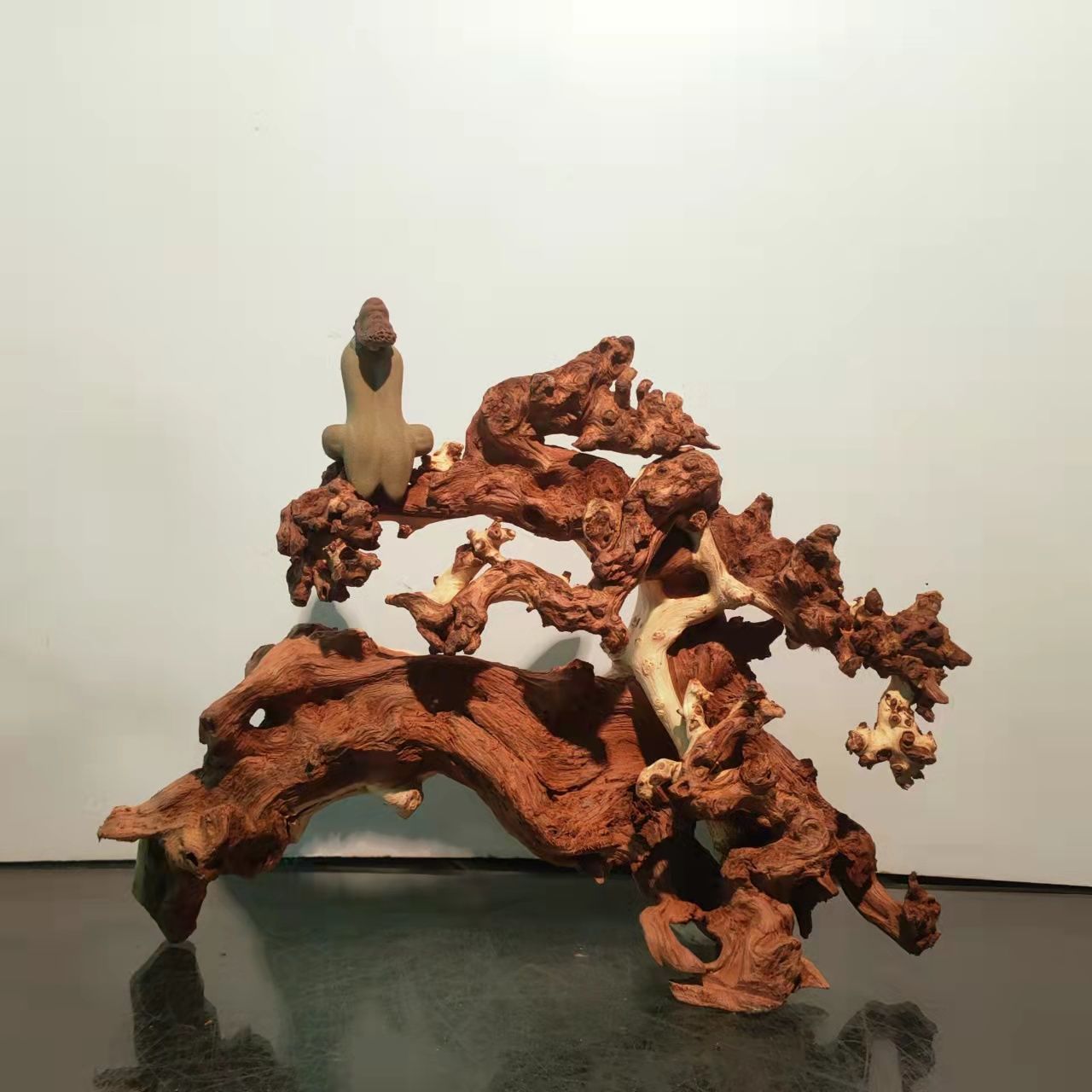 天然金丝红木树根雕艺茶桌客厅玄关装饰摆件鱼缸造景非紫柚木崖柏