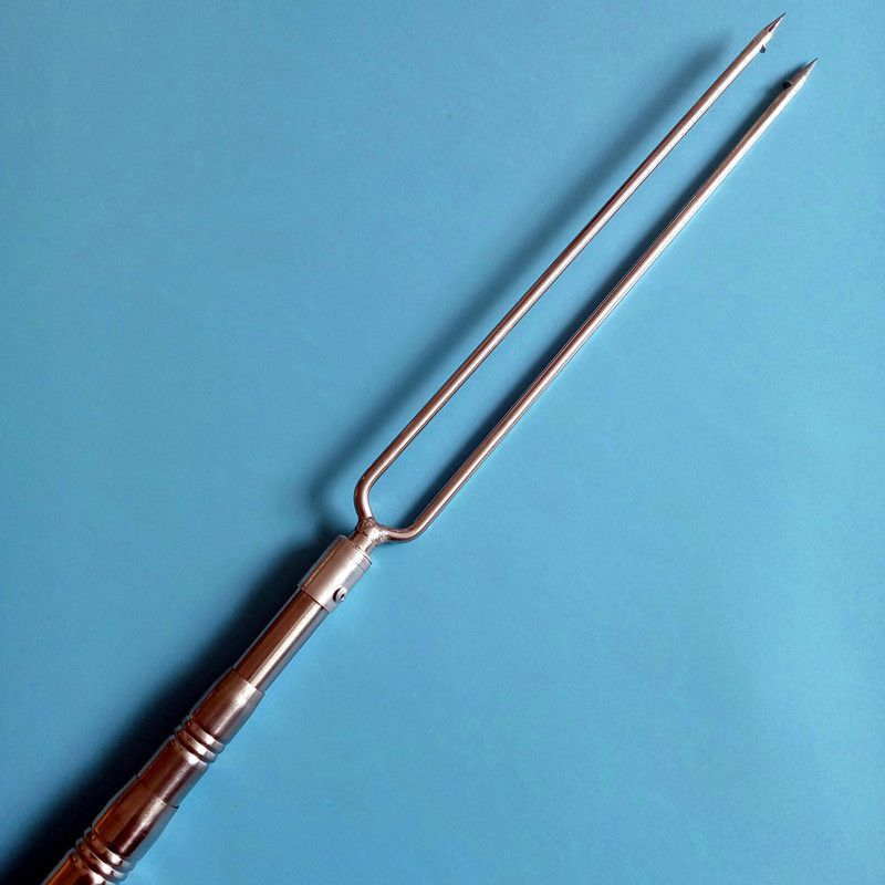 不锈钢鱼叉甲鱼螃蟹鳝鱼泥鳅叉超硬加粗加长双齿海用青蛙甲鱼排叉【2
